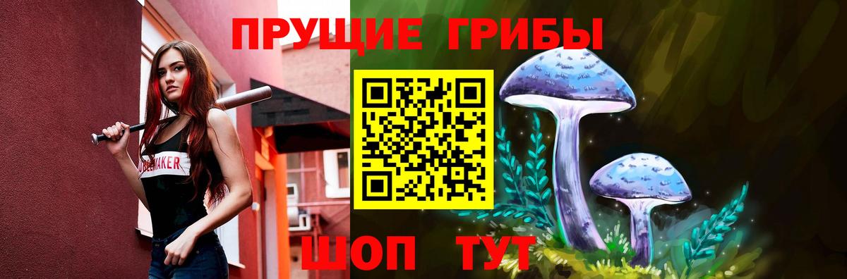 купить   Псилоцибиновые грибы прущие грибы  Псилоцибиновые грибы мицелий  Вход с VPN  Луга 